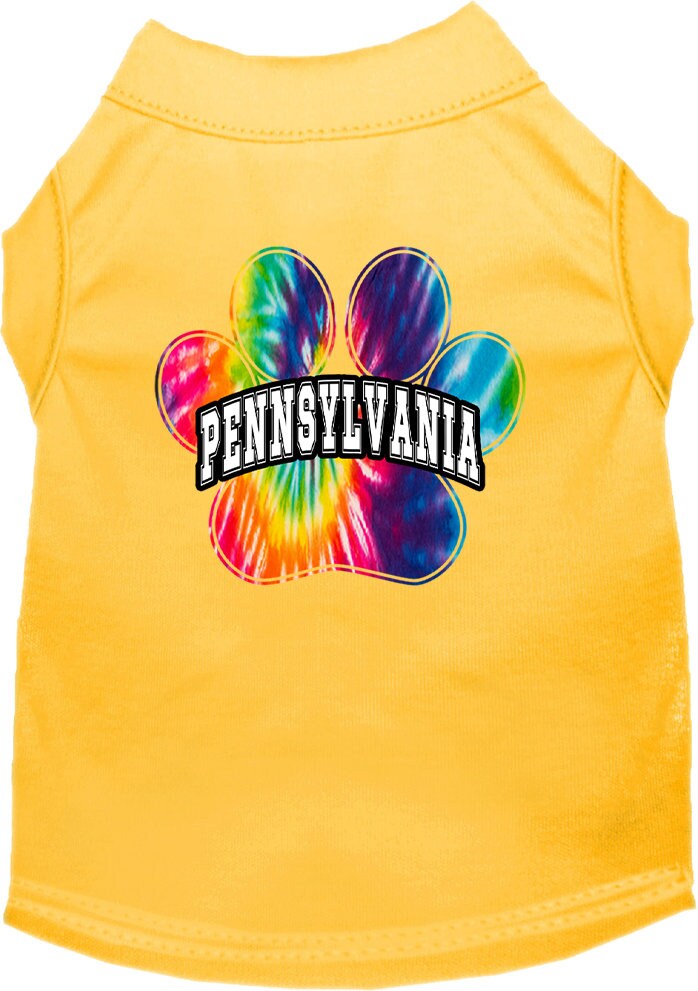 Pet Dog & Cat Screen Printed Shirt for Small to Medium Pets (Sizes XS-XL), "Pennsylvania Bright Tie Dye"